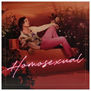 Darren Hayes: Homosexual [LP] - VINYL Product Image
