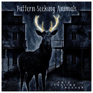 Pattern-Seeking Animals: Only Passing Through [2LP/CD] [LP] - VINYL Product Image
