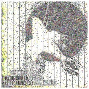 Magnolia Electric Co.: What Comes After the Blues [LP] - VINYL Product Image