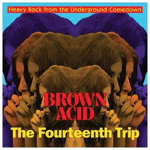 Various Artists: Brown Acid: Fourteenth Trip [LP] - VINYL Product Image