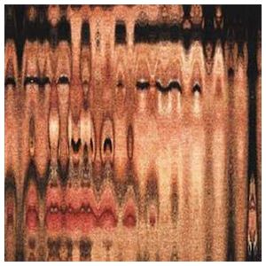 Depresión Sonora: El Arte de Morir Muy Despacio [LP] - VINYL Product Image