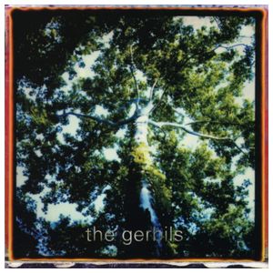 The Gerbils: Are You Sleepy? [LP] - VINYL Product Image