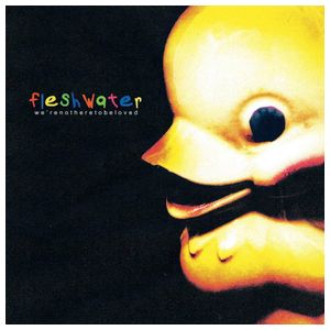 Fleshwater: We're Not Here to Be Loved [LP] - VINYL Product Image
