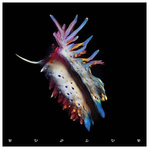 Sub Focus: Evolve [Lenticular Cover Edition] [Clear Vinyl] [LP] - VINYL Product Image