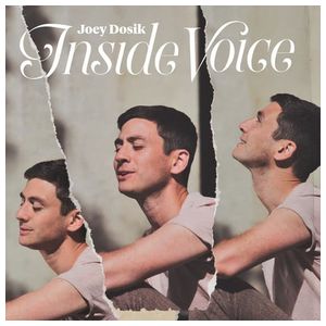 Joey Dosik: Inside Voice [LP] - VINYL Product Image