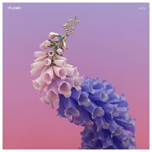 Flume: Skin [Limited Edition] [LP] - VINYL Product Image