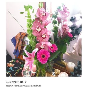 Wicca Phase Springs Eternal: Secret Boy [LP] - VINYL Product Image