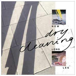 Dry Cleaning: New Long Leg [LP] - VINYL Product Image