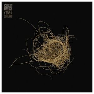 Hiss Golden Messenger: Terms of Surrender [LP] - VINYL Product Image