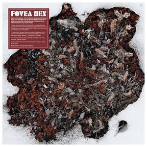 Fovea Hex: The Salt Garden [LP] - VINYL Product Image