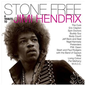 Various Artists: Stone Free: A Tribute to Jimi Hendrix [LP] - VINYL Product Image
