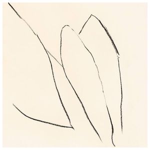 Jon Porras: Voices of the Air [LP] - VINYL Product Image