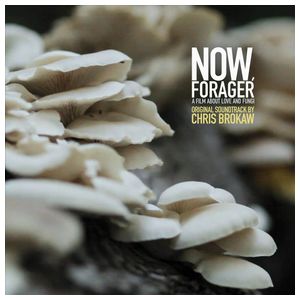Chris Brokaw: Now, Forager [LP] - VINYL Product Image