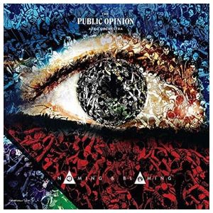 The Public Opinion Afro Orchestra: Naming & Blaming [LP] - VINYL Product Image