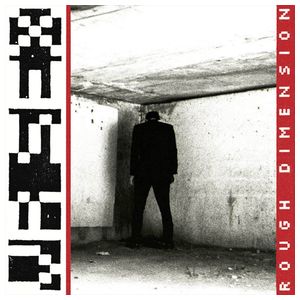 VR Sex: Rough Dimension [LP] - VINYL Product Image