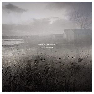 Joshua Trinidad: In November [LP] - VINYL Product Image