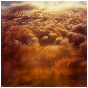 Bowerbirds: Upper Air [LP] - VINYL Product Image