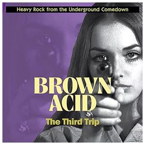 Various Artists: Brown Acid: The Third Trip [LP] - VINYL Product Image