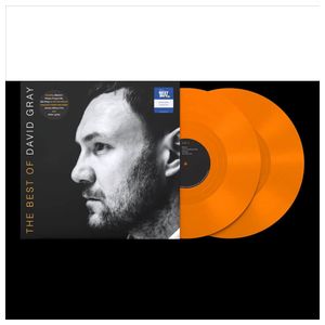 David Gray: Best of David Gray [Double Orange Vinyl] [Only @ Best Buy] [LP] - VINYL Product Image