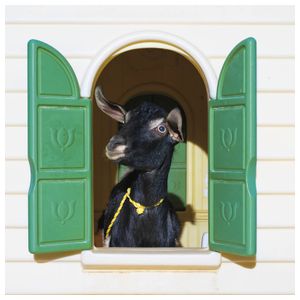 Superchunk: Wild Loneliness [LP] - VINYL Product Image