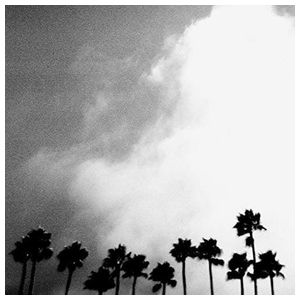 Richard Rose: Radiation Breeze [LP] [VINYL] Product Image