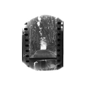 Seahaven: Winter Forever [LP] [VINYL] Product Image