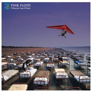Pink Floyd: A Momentary Lapse of Reason [LP] [VINYL] Product Image