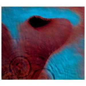 Pink Floyd: Meddle [LP] - VINYL Product Image