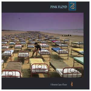 Pink Floyd: A Momentary Lapse of Reason [LP] - VINYL Product Image