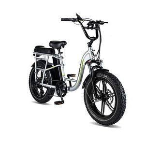 Happy Voyager Electric Bike Silver Product Image