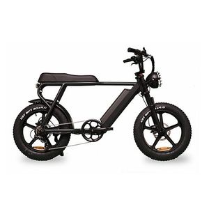 Happy Ernie Electric Bike Gray Product Image