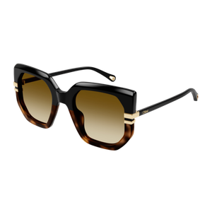 Chloe Women's CH0240S Sunglasses Black/Brown Gradient Brown Gradient Black/Brown Gradient Product Image