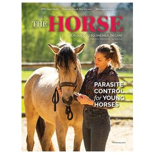The Horse - 4 Issues Product Image
