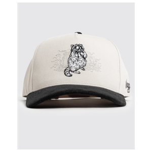 Waggle Trash Bandit Corduroy Brim Hat Gray Product Image