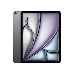 13-inch iPad Air Wi-Fi + Cellular 256GB - Space Gray (M4) Product Image