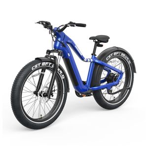 Ranger EB50 Electric Fat Tires Mountain Bike Blue Product Image